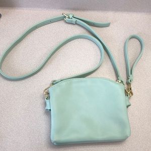 Mint Wristlet/Shoulder bag